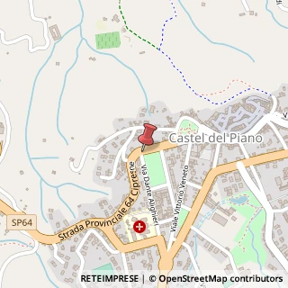 Mappa Piazza rosa guarnieri 8/c, 58033 Castel del Piano, Grosseto (Toscana)
