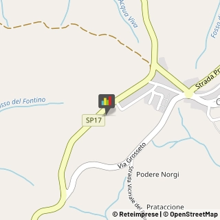 Marmitte per Motori Santa Fiora,58044Grosseto