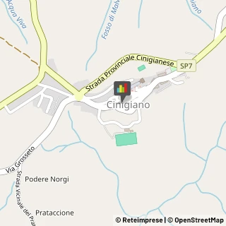 Tabaccherie Cinigiano,58044Grosseto