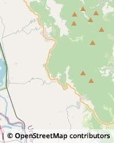 Studi Medici Generici Alviano,05020Terni