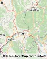 Animali Domestici - Toeletta Narni,05035Terni