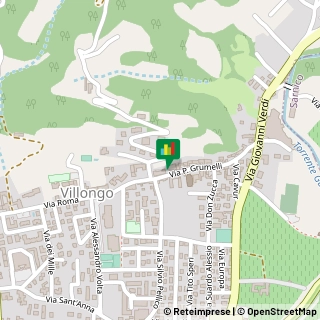 Via P. Grumelli, 74,24060Villongo