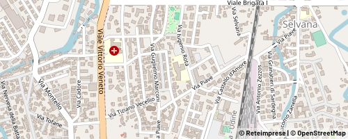 Mappa Treviso