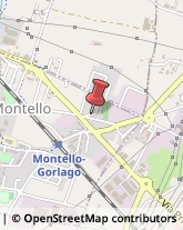 Via Raffaello, 7,24060Montello