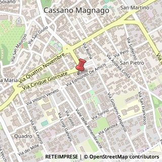 Mappa Piazza XXV Aprile, 11, 21012 Cassano Magnago, Varese (Lombardia)