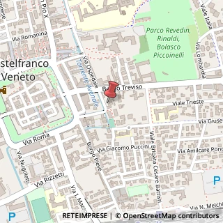 Mappa Borgo Treviso, 18, 31033 Castelfranco Veneto, Treviso (Veneto)