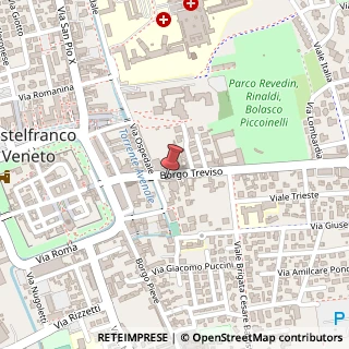 Mappa Borgo Treviso, 10, 31033 Castelfranco Veneto, Treviso (Veneto)