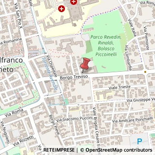 Mappa Borgo Treviso, 65, 31033 Castelfranco Veneto, Treviso (Veneto)