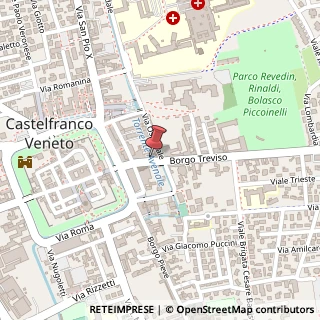 Mappa Via Riccati, 29, 31033 Castelfranco Veneto, Treviso (Veneto)