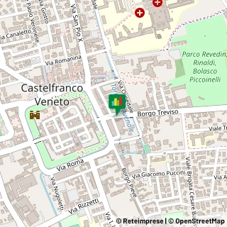 Mappa Via Riccati, 14, 31033 Castelfranco Veneto, Treviso (Veneto)