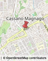 Via Dottor Luigi del Bo, 1,21012Cassano Magnago