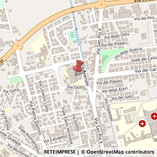 Mappa Via Avenale, 1, 31033 Castelfranco Veneto, Treviso (Veneto)