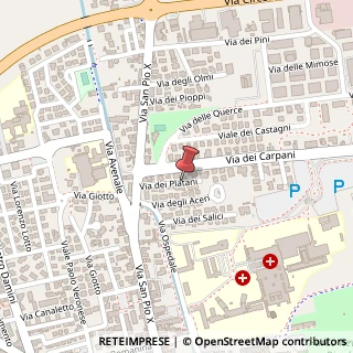 Mappa Via dei Platani,  16, 31033 Castelfranco Veneto, Treviso (Veneto)