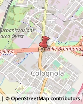 Via San Bernardino, 142,24126Bergamo