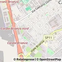 地图 Carate Brianza