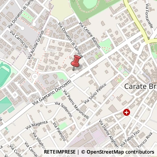Mappa Via G. Donizetti, 26, 20841 Carate Brianza, Monza e Brianza (Lombardia)