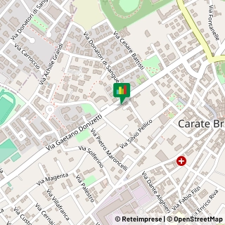 Via G. Donizetti, 39,20841Carate Brianza