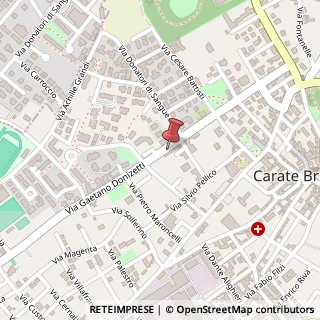 Mappa Via G. Donizetti, 39, 20841 Carate Brianza, Monza e Brianza (Lombardia)
