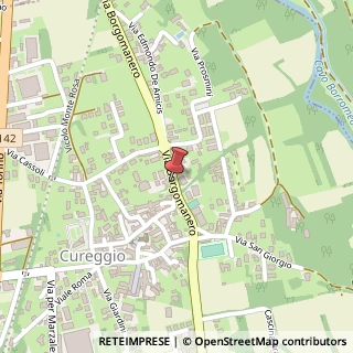 Mappa Via Borgomanero, 7, 28060 Cureggio, Novara (Piemonte)