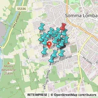 Mappa Via dei Mille, 21019 Somma Lombardo VA, Italia (0.244)