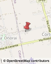 Via Cà Onorai, 50,35013Cittadella