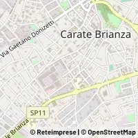Map Carate Brianza