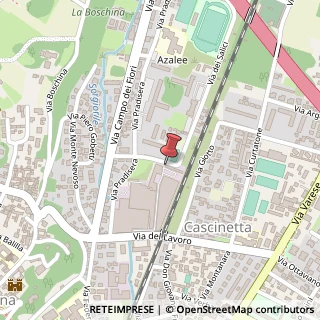 Mappa Via delle Betulle, 10, 21013 Gallarate, Varese (Lombardia)