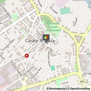 Serramenti ed Infissi, Portoni, Cancelli,20841Monza e Brianza