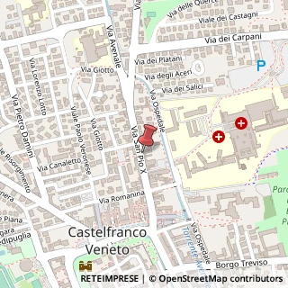 Mappa Via San Pio X, 56, 31033 Castelfranco Veneto, Treviso (Veneto)