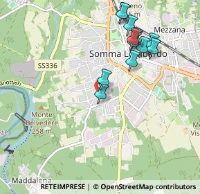 Mappa Via San Martino, 21019 Somma Lombardo VA, Italia (0.98833)