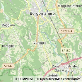 Mappa Cureggio