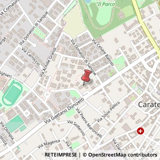 Mappa Via G. Donizetti, 26, 20841 Carate Brianza, Monza e Brianza (Lombardia)
