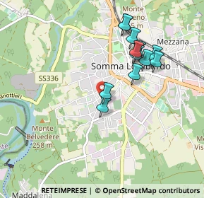 Mappa Via Trieste, 21019 Somma Lombardo VA, Italia (0.8675)
