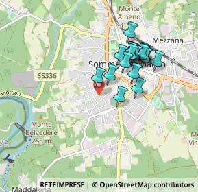 Mappa Via Trieste, 21019 Somma Lombardo VA, Italia (0.7895)