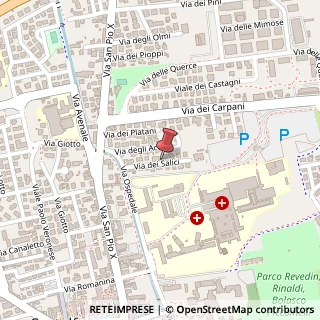 Mappa Via dei Salici, 14, 31033 Castelfranco Veneto, Treviso (Veneto)
