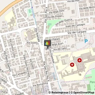 Ambulanze Private Castelfranco Veneto,31033Treviso