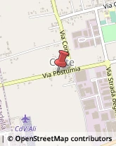 Via Postumia, 74,35015Cittadella