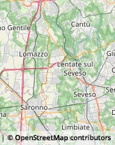 Imprese di Pulizia Barlassina,20825Monza e Brianza