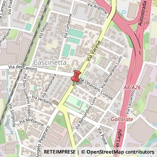 Mappa Via A. Pegoraro, 40, 21013 Gallarate, Varese (Lombardia)