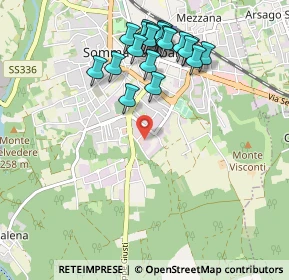 Mappa Via Gen. C. A. dalla Chiesa, 21019 Somma Lombardo VA, Italia (1.02)