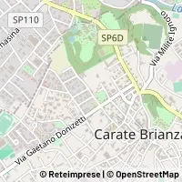 Map Carate Brianza