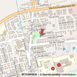 Mappa Viale delle Querce, 4B, 31033 Castelfranco Veneto, Treviso (Veneto)