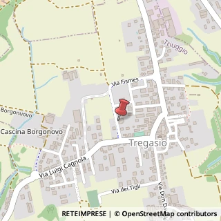 Mappa Via Fismes, 6, 20844 Triuggio, Monza e Brianza (Lombardia)