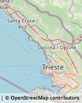 Figurinisti - Scuole Trieste,34136Trieste