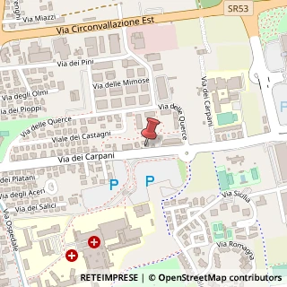 Mappa Via Dei Carpani, 31033 Castelfranco Veneto, Treviso (Veneto)