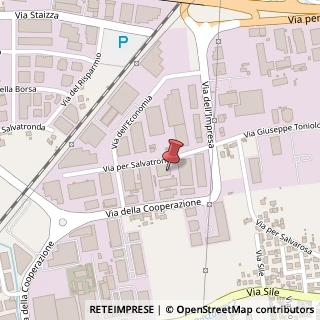 Mappa Via per Salvatronda, 60, 31033 Castelfranco Veneto, Treviso (Veneto)