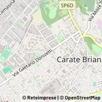 Map Carate Brianza