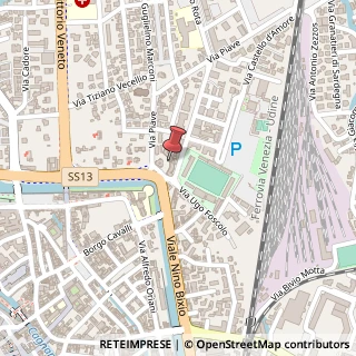 Mappa Viale Nino Bixio, 31100 Treviso, Treviso (Veneto)