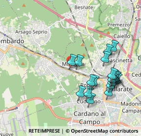 Mappa Via Monte leone, 21011 Casorate Sempione VA, Italia (2.0515)