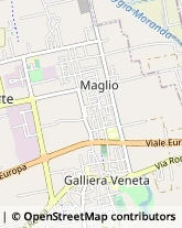 Elettrauto Galliera Veneta,35015Padova